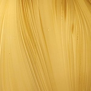 Meet your Posher, Ziggy